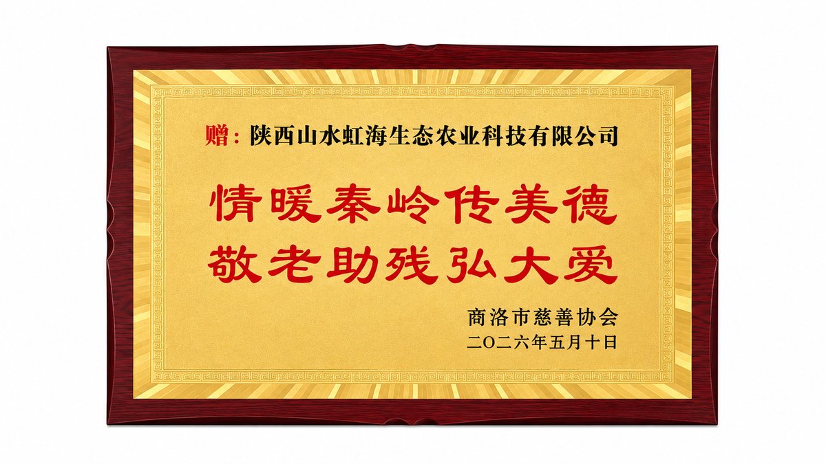 情暖秦岭传美德敬老助残弘大爱